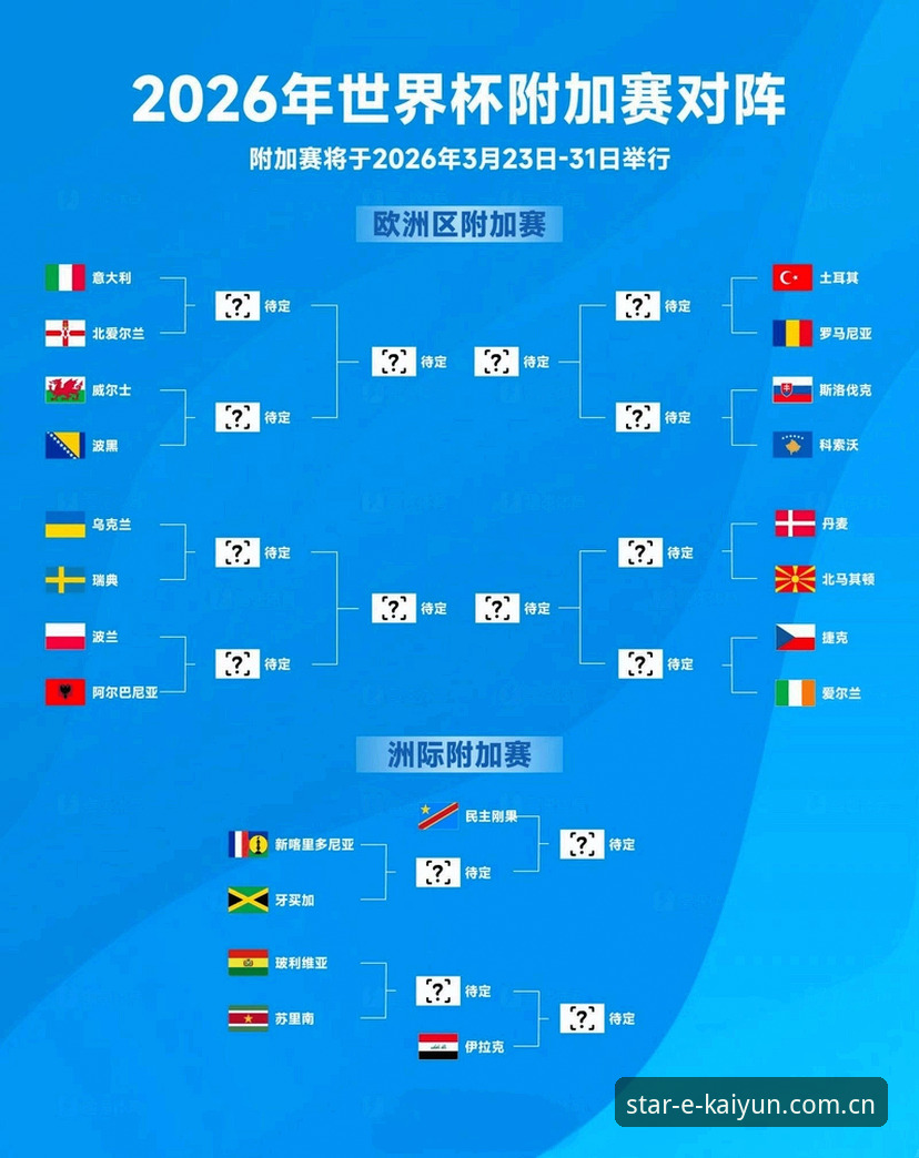 世界杯观赛受阻，签证困局下球迷何去何从